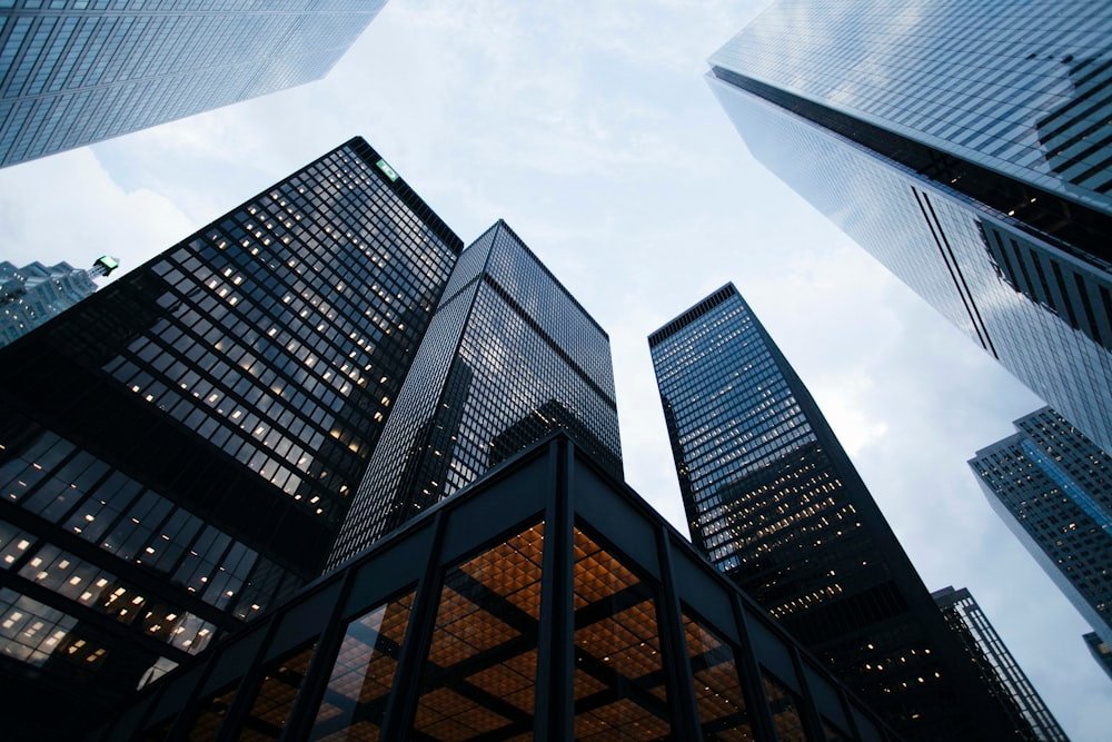 Modern glass office towers representing precision and quality